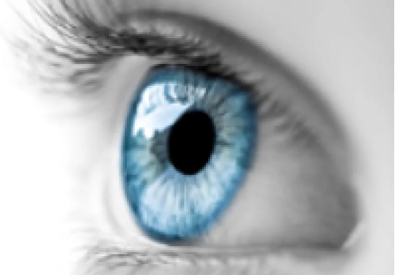 Degenerescence maculaire