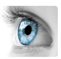 Degenerescence maculaire